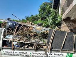 Best Shed Removal  in Blue Earth, MN