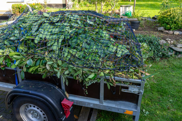 Best Hoarding Cleanup  in Blue Earth, MN